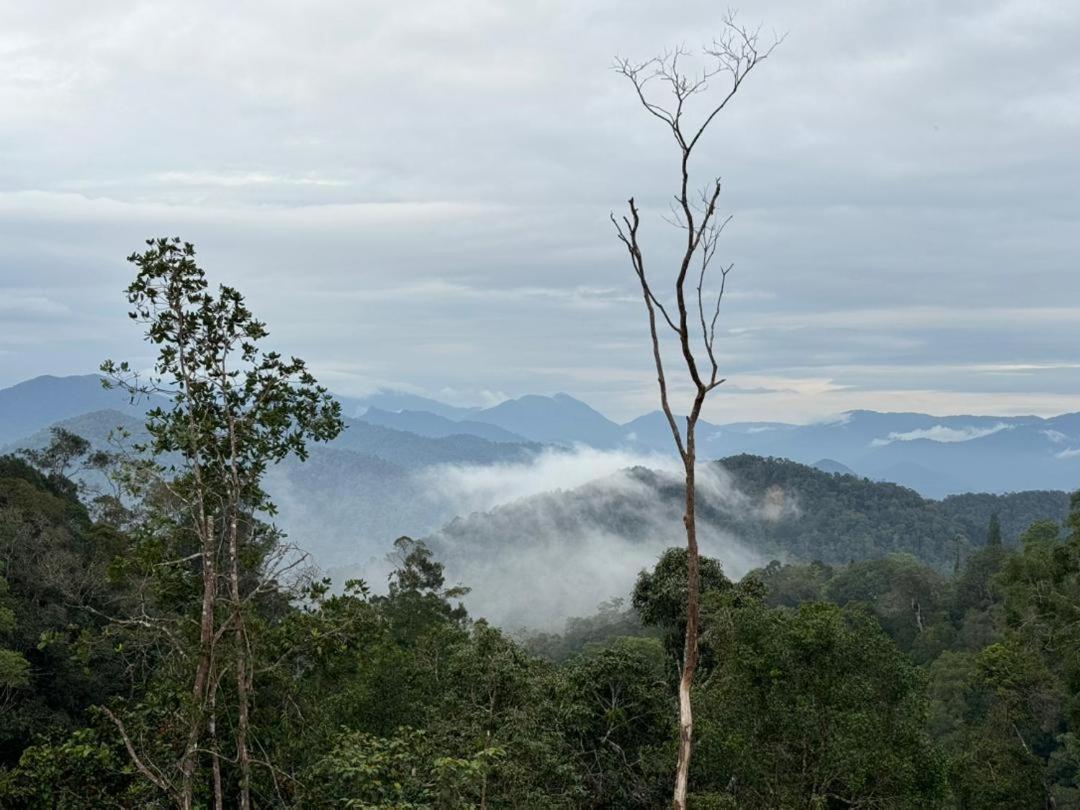 Misty At Fraser'S Hill Fraser Hill ภายนอก รูปภาพ